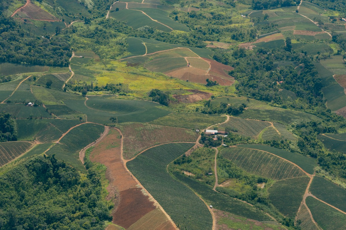 Campos de cultivo en Junín, marzo del 2024